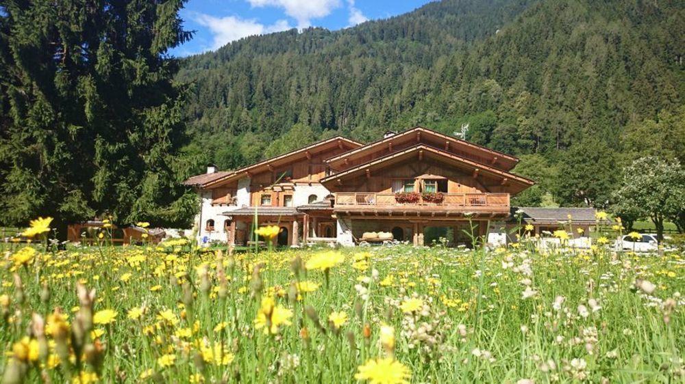 Hotel Maso Del Brenta Caderzone Εξωτερικό φωτογραφία